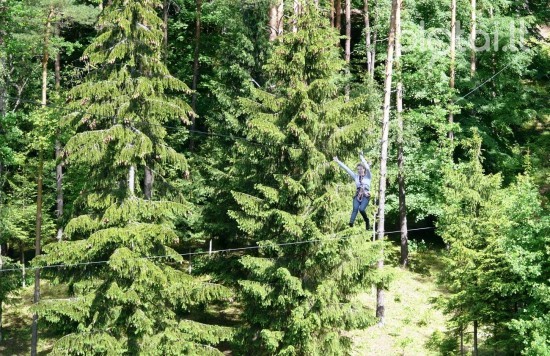 Vytauto Skirkos sodyba nuotrauka nr. 5