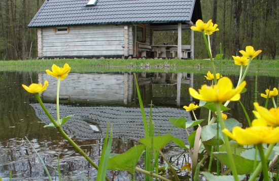 BALTOJI SODYBA su BALTĄJA PIRTIMI  ir ANGLIŠKU nameliu nuotrauka nr. 17