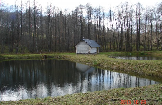 BALTOJI SODYBA su BALTĄJA PIRTIMI  ir ANGLIŠKU nameliu nuotrauka nr. 33