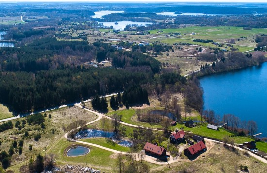 Saulėtas bebras nuotrauka nr. 1