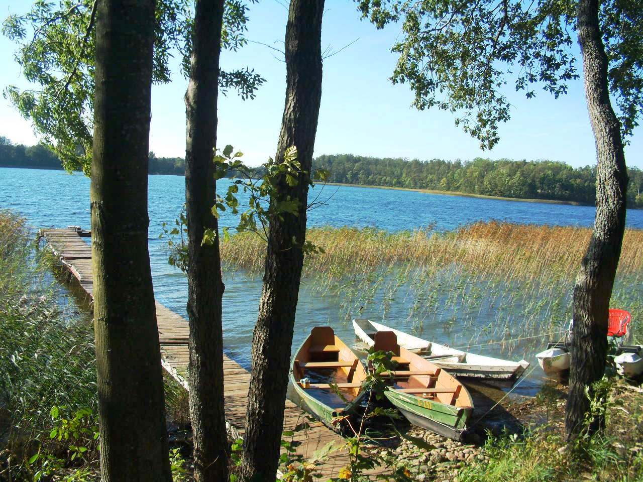 Kaimo turizmo sodyba - Cibulinė nuotrauka nr. 1