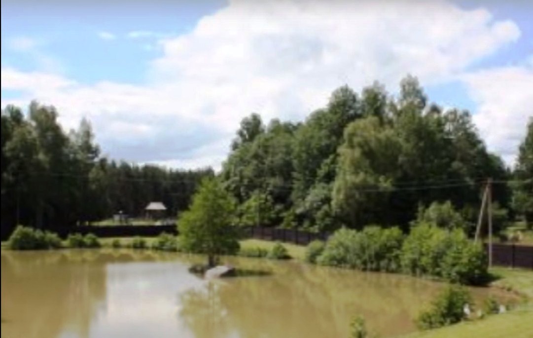Miško Žiedas nuotrauka nr. 1