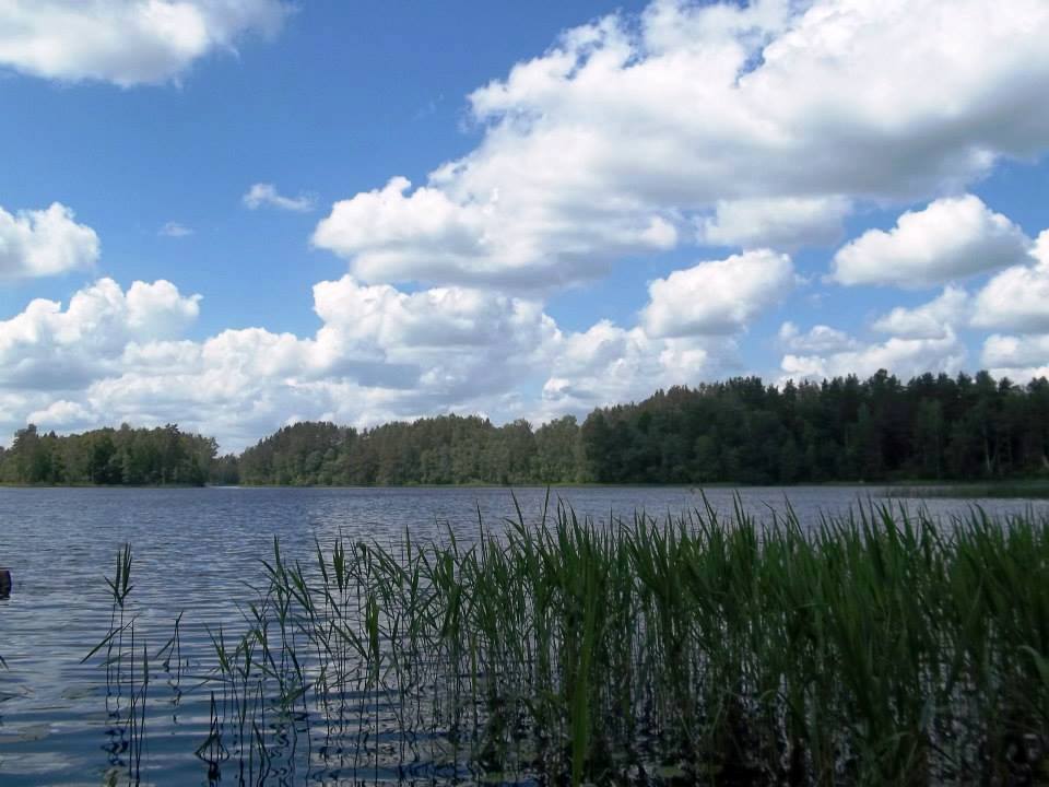 Versmelė - kaimo turizmo sodyba nuotrauka nr. 1