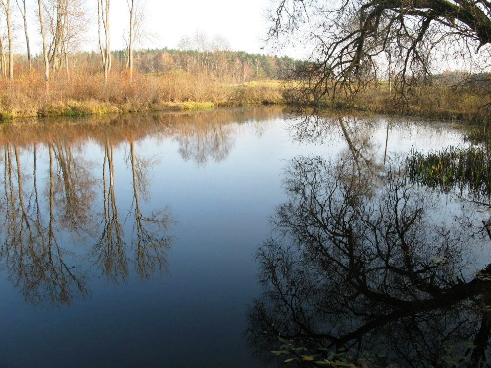 Žirgyno Dvarelis nuotrauka nr. 1