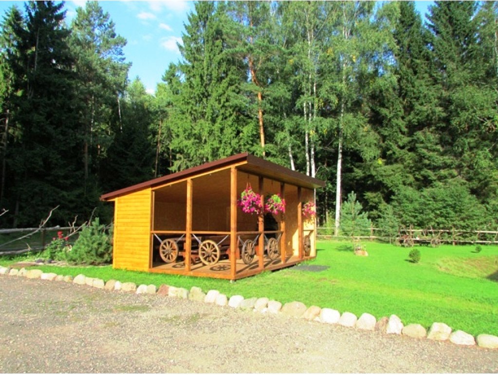 Miško oazė nuotrauka nr. 2