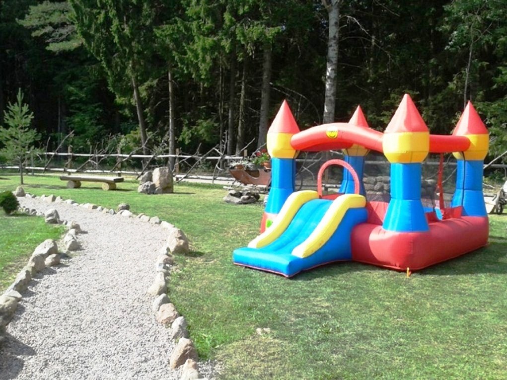 Miško oazė nuotrauka nr. 4