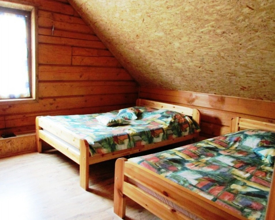 Miško oazė nuotrauka nr. 7