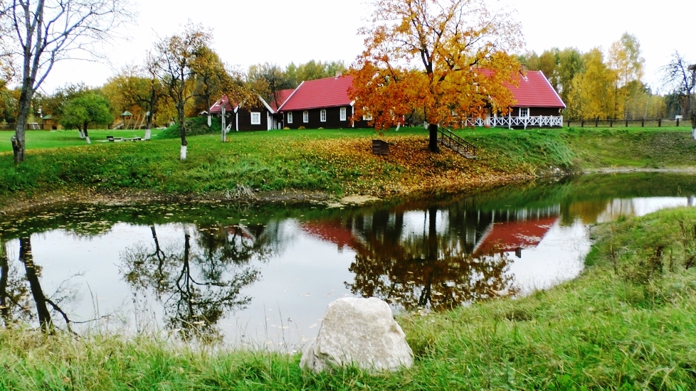 Miško vingis nuotrauka nr. 1