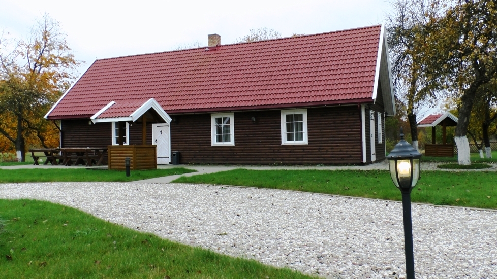 Miško vingis nuotrauka nr. 4
