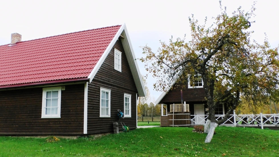 Miško vingis nuotrauka nr. 5