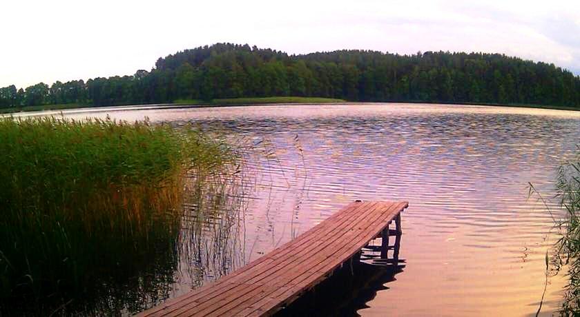 Nakvynės namai Prie sidabrinės eglės nuotrauka nr. 2
