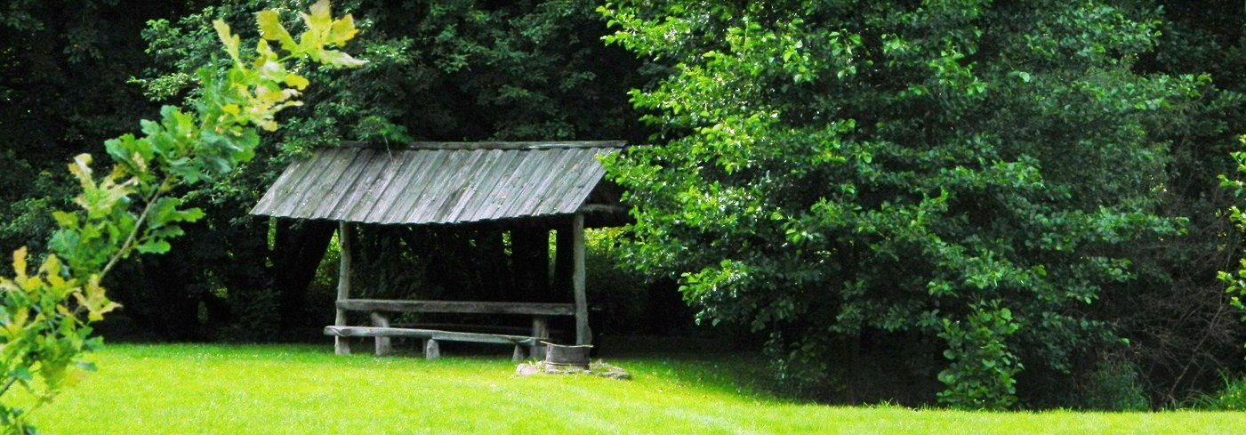 Rusiška pirtis Kantvainiuose nuotrauka nr. 3