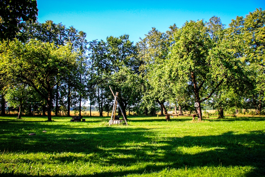 Prienų vienkiemis nuotrauka nr. 5