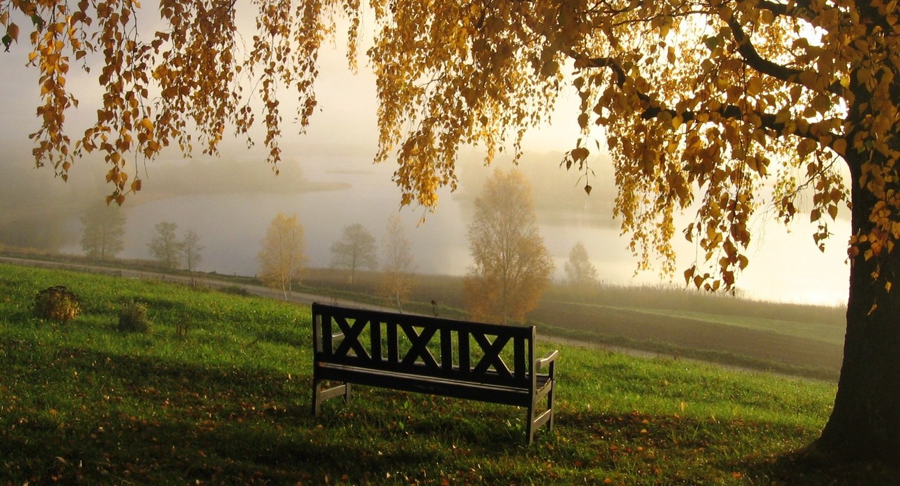 ROMO IR BEATOS ŠAPOKŲ sodyba nuotrauka nr. 7