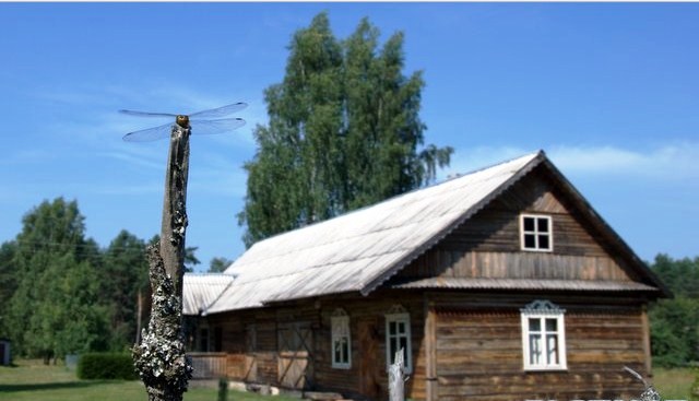 Rūtos Sakalienės kaimo turizmo sodyba nuotrauka nr. 0