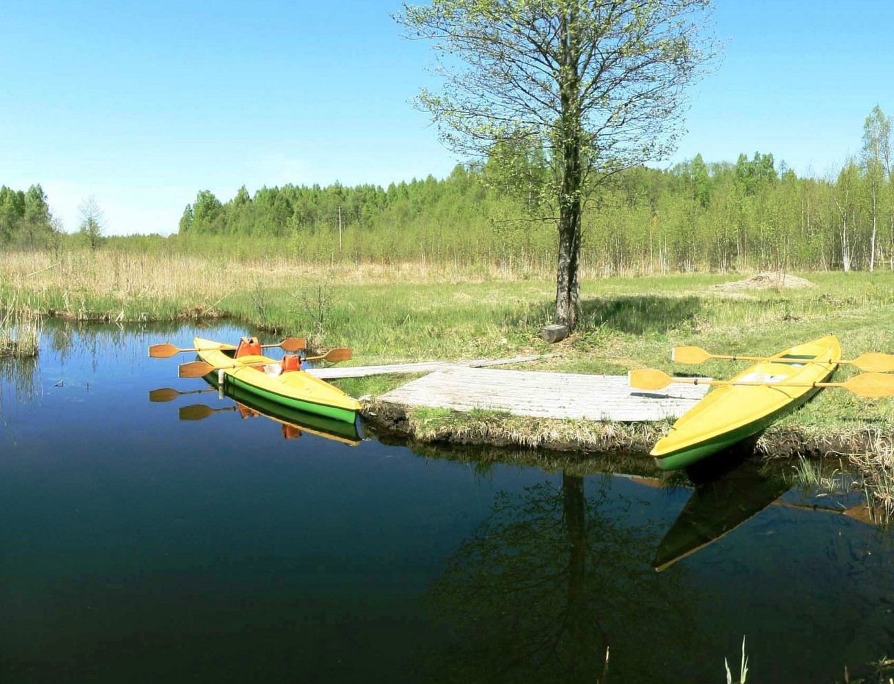 Stirnių sodyba nuotrauka nr. 0
