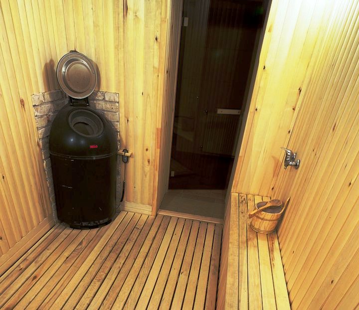 Trakų galvė nuotrauka nr. 4