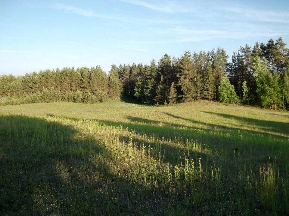Versmelė - kaimo turizmo sodyba nuotrauka nr. 5