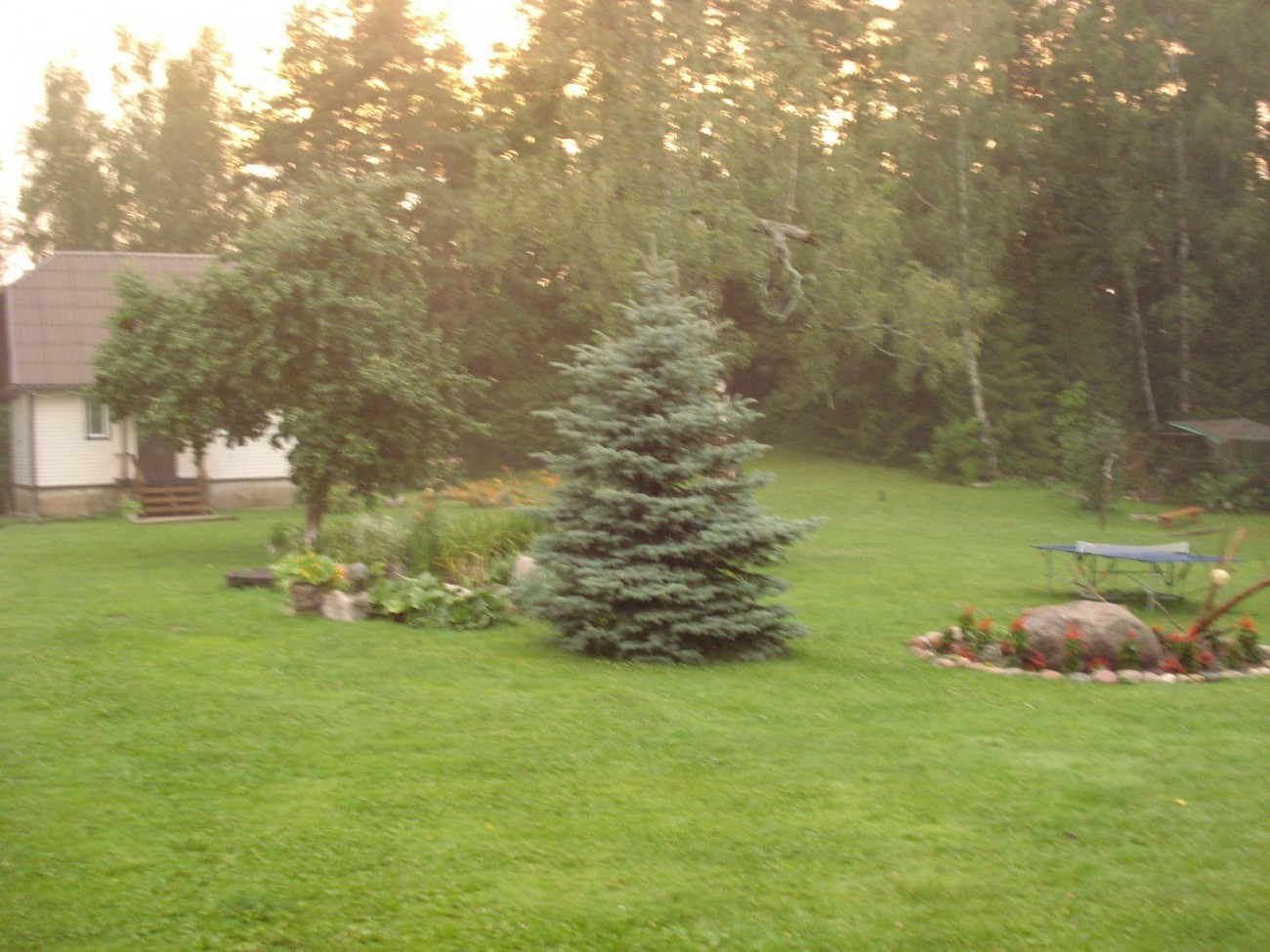 Bronės Nijolės Urbonienės sodyba nuotrauka nr. 7