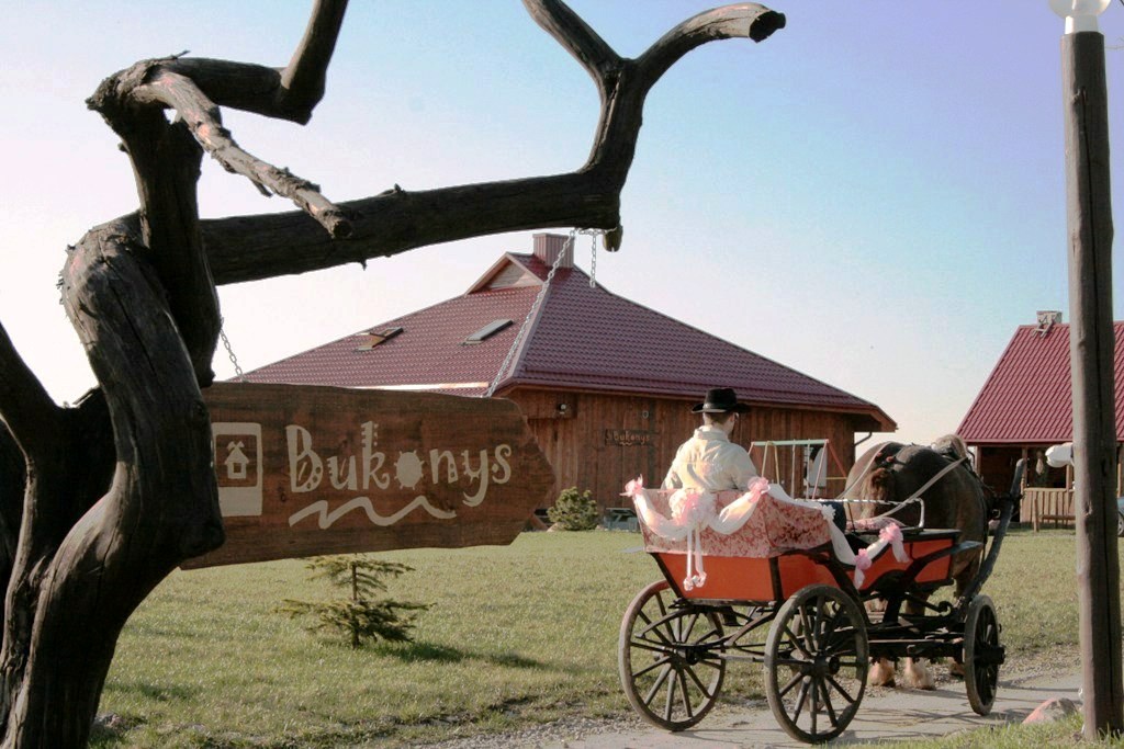 Bukonys nuotrauka nr. 3