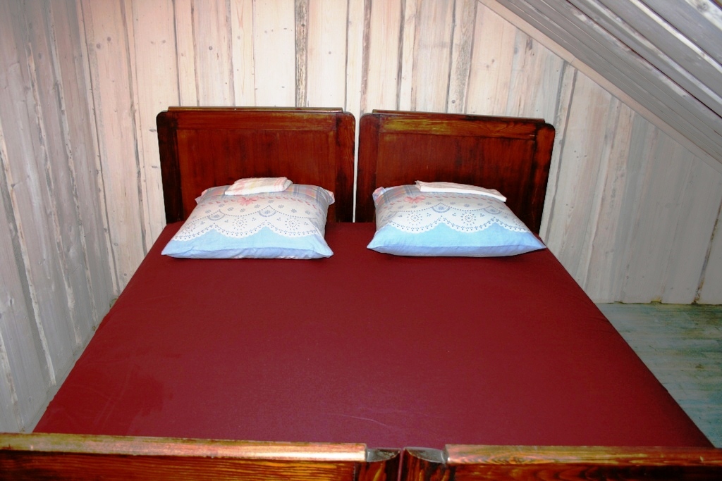 Bukonys nuotrauka nr. 7