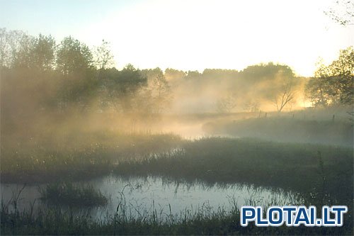 Daivos Jackūnienės kaimo sodyba nuotrauka nr. 2