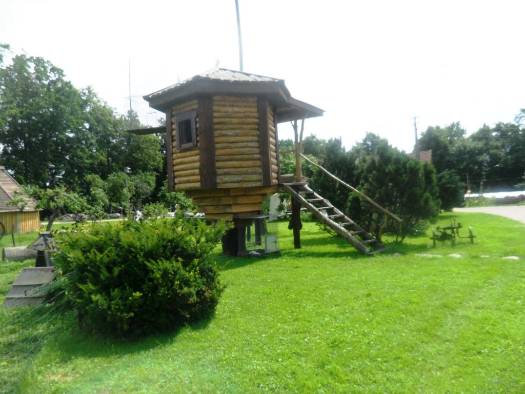 Jiesios Pakrantė nuotrauka nr. 1