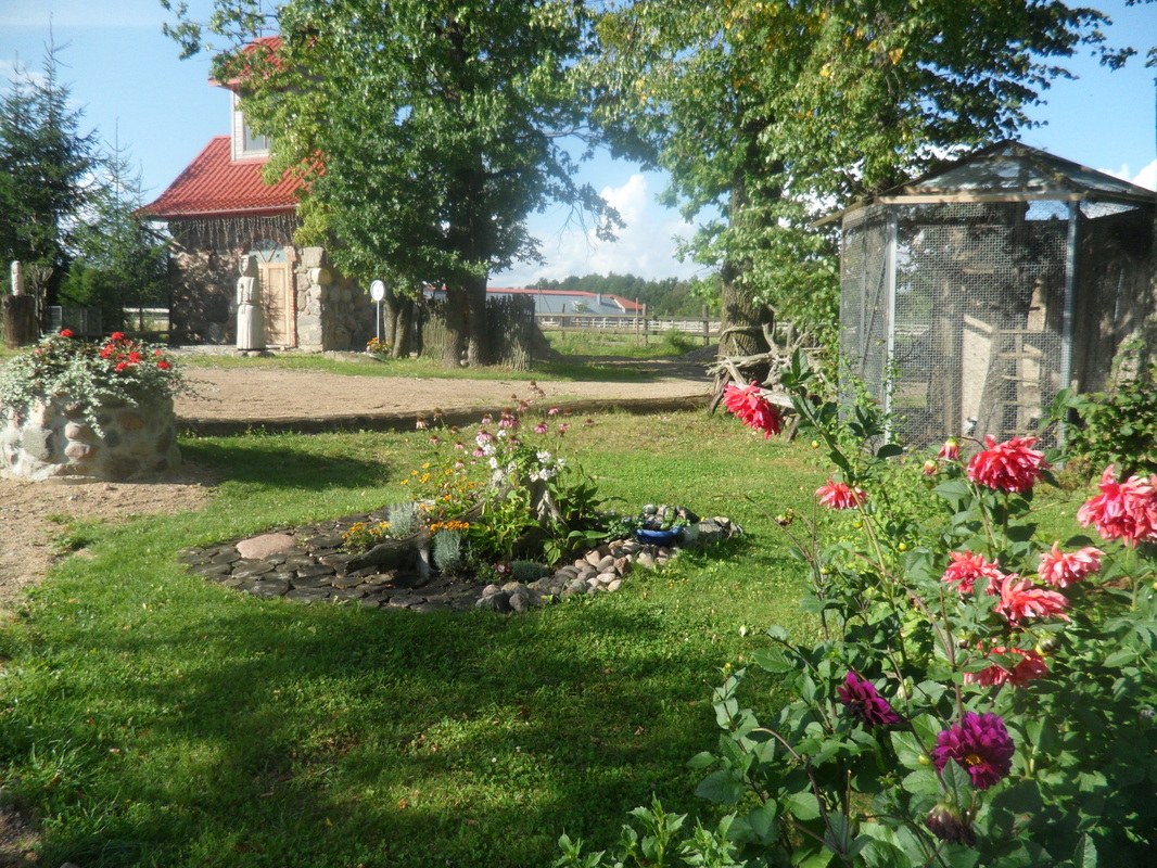 Jiesios Pakrantė nuotrauka nr. 8