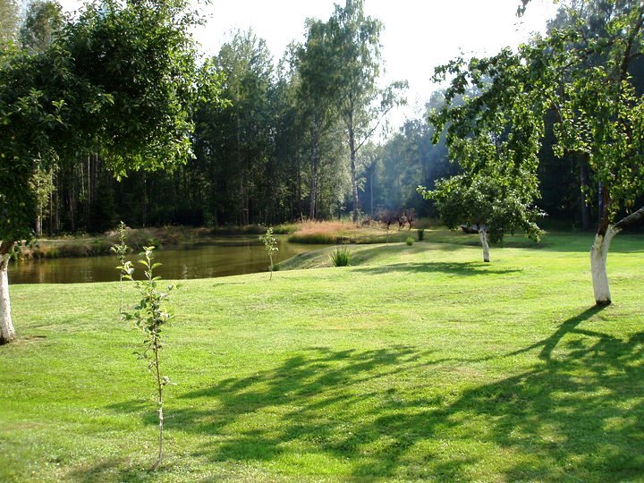 Jūrės Miško kaimo turizmo sodyba nuotrauka nr. 5