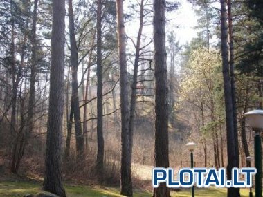 Pirtis Turniškėse nuotrauka nr. 2