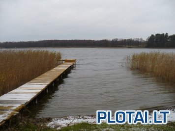 Rimo Vaškevičiaus sodyba nuotrauka nr. 6