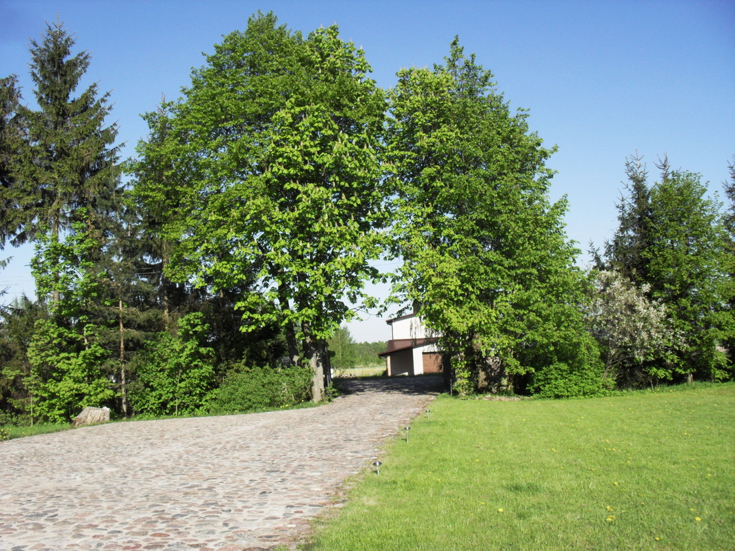 Andriekynė nuotrauka nr. 13