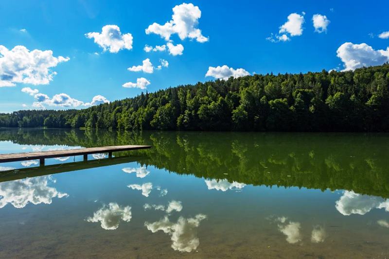 Sodyba Karališka vila nuotrauka nr. 13