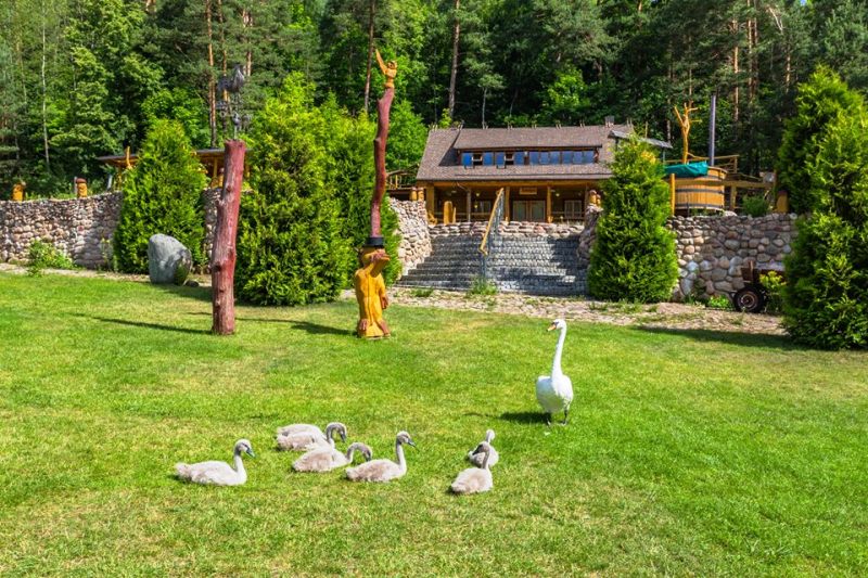 Sodyba Karališka vila nuotrauka nr. 15