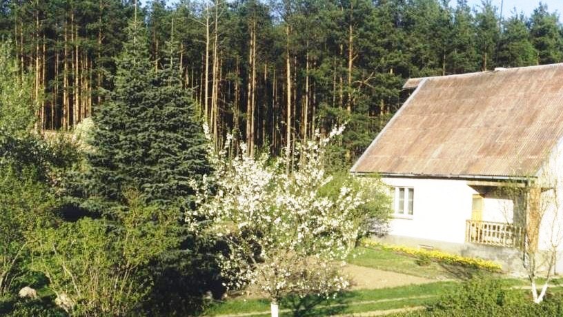 Satsės Čepulienės sodyba nuotrauka nr. 0