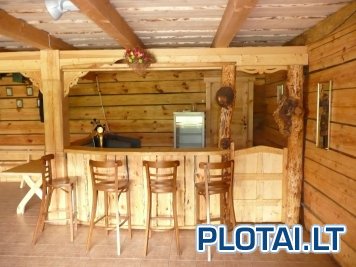 VANAGŲ VIENKIEMIS nuotrauka nr. 3