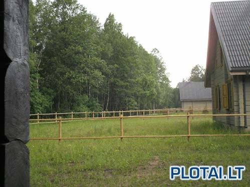 Vertamedyje pas Vilmą ir Audrių nuotrauka nr. 5