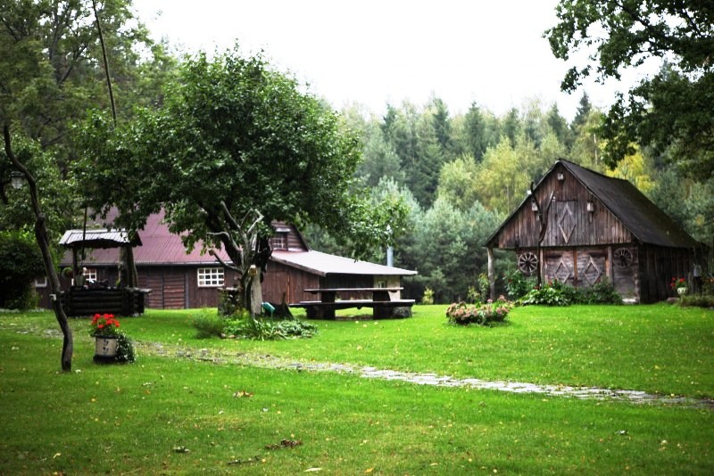 Sodyba Violetos ranča nuotrauka nr. 9